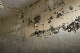 Saja Tehsil Building Condition