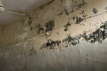 Saja Tehsil Building Condition