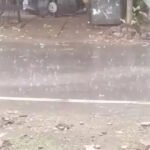 Weather Alert : छत्तीसगढ़ में फिर बदलेगा मौसम, मध्य-उत्तर में भारी बारिश का अलर्ट