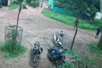 Jashpur Murder Case