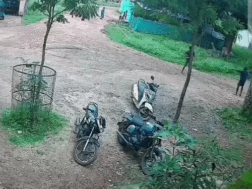Jashpur Murder Case