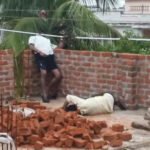 High Tension Line Accident