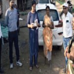 Malaria Outbreak : मलेरिया से घिरा अचानकमार! गांव-गांव पहुंचीं मेडिकल टीमें, प्रशासन अलर्ट
