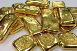 Train Gold Seizure