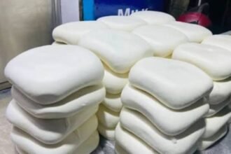 Analog Paneer