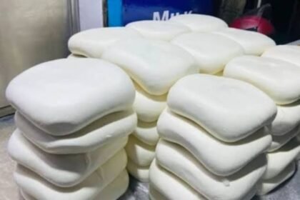 Analog Paneer