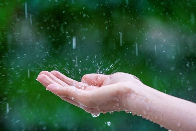 CG Weather Alert : छत्तीसगढ़ में फिर सक्रिय हुआ मानसून, 3 दिन भारी बारिश और वज्रपात का अलर्ट