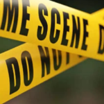 Murder Case