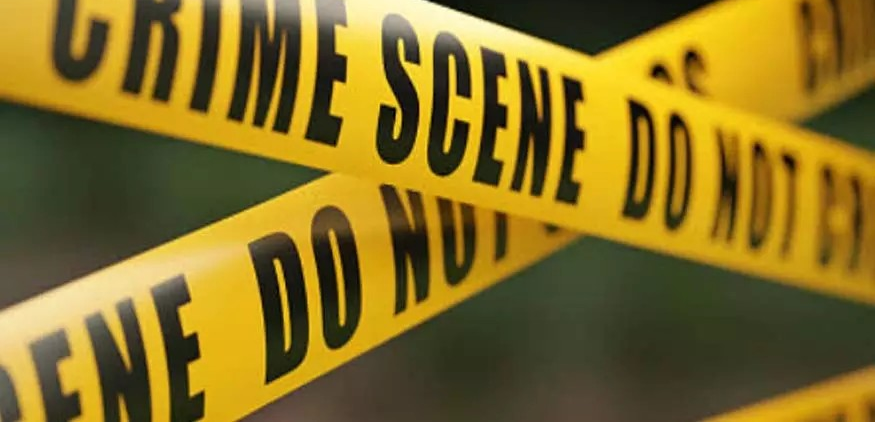 Murder Case