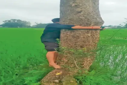 Digital Crop Survey : दुर्ग में पेड़ पर चढ़कर फसल की फोटो, नई शर्त से बढ़ी मुसीबत