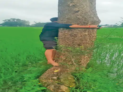 Digital Crop Survey : दुर्ग में पेड़ पर चढ़कर फसल की फोटो, नई शर्त से बढ़ी मुसीबत