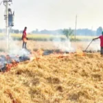 CG CBG Policy 2026 : कचरे से बनेगी सीबीजी, किसान पैरा बेचकर कमाएंगे अतिरिक्त आय
