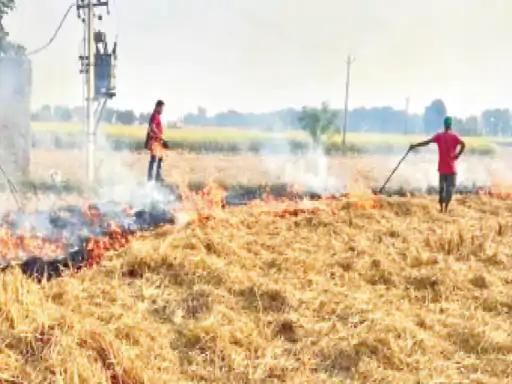 CG CBG Policy 2026 : कचरे से बनेगी सीबीजी, किसान पैरा बेचकर कमाएंगे अतिरिक्त आय