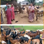 Veterinary Medicine Center 