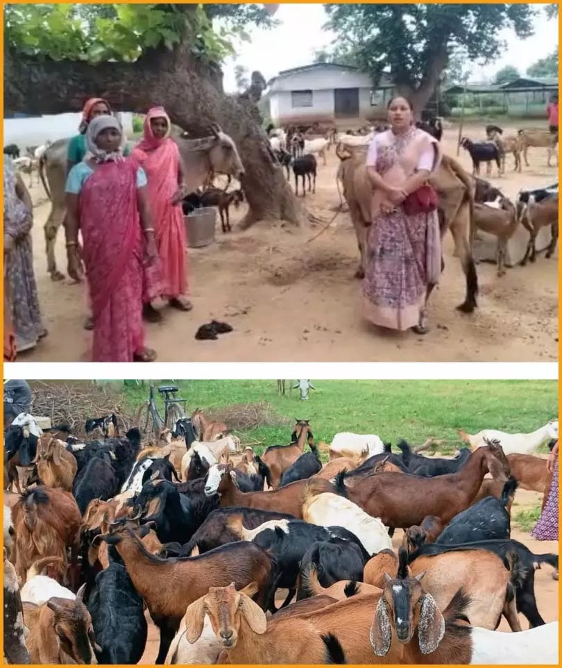 Veterinary Medicine Center 