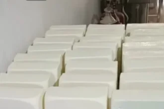 Analog Paneer