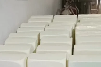 Analog Paneer