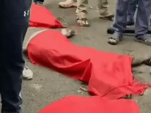 Stray Cattle Accident