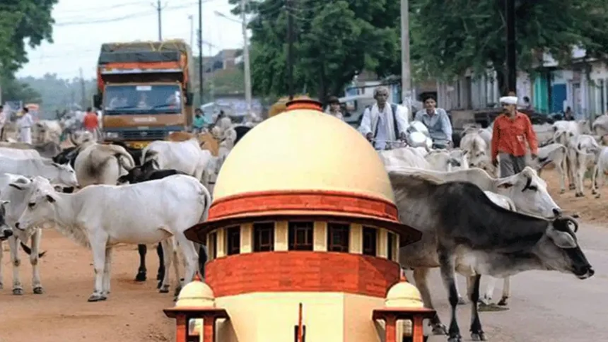 Stray Cattle Accident Compensation : आवारा पशुओं से होने वाले हादसों पर सख्त सुप्रीम कोर्ट, मुआवजा व्यवस्था बनाने का निर्देश
