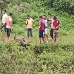 Mainpat River Accident : बाइक से नदी पार करने की कोशिश, एनआइटी का छात्र बहा, रस्सी से छात्रा को बचाया