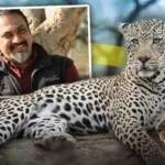 Leopard Skin Seizure  : 10 तेंदुओं की खाल से हड़कंप, NGO कनेक्शन की जांच तेज