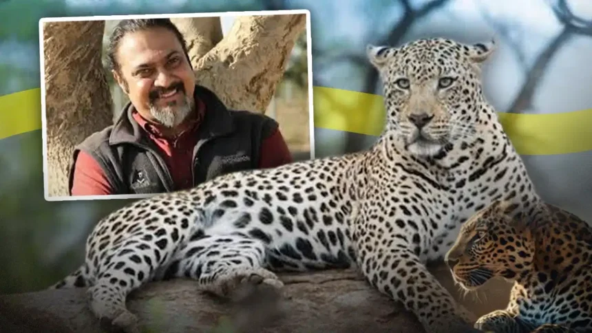 Leopard Skin Seizure : 10 तेंदुओं की खाल से हड़कंप, NGO कनेक्शन की जांच तेज