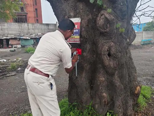 Raigarh Road Safety