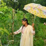 Lakhpati Didi Anjana : ड्रिप से बदली किस्मत, सब्जी की खेती से सालाना डेढ़ लाख की कमाई
