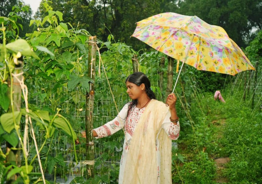 Lakhpati Didi Anjana : ड्रिप से बदली किस्मत, सब्जी की खेती से सालाना डेढ़ लाख की कमाई