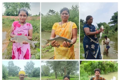 Farm Pond Dhamtari : जहां बारिश का पानी बह जाता था, अब वहीं कमाई