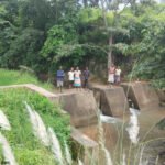 Stop Dam Irrigation : स्टॉपडेम से बदली आदिवासी किसानों की जिंदगी, 30 एकड़ खेतों में लहलहा रही धान की फसल