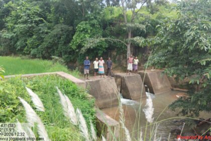 Stop Dam Irrigation : स्टॉपडेम से बदली आदिवासी किसानों की जिंदगी, 30 एकड़ खेतों में लहलहा रही धान की फसल