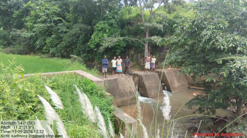 Stop Dam Irrigation : स्टॉपडेम से बदली आदिवासी किसानों की जिंदगी, 30 एकड़ खेतों में लहलहा रही धान की फसल
