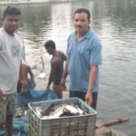 Fish Farming Success : 0.40 हेक्टेयर के तालाब में सालाना 250 क्विंटल मछली का उत्पादन, कमाई लाखों में