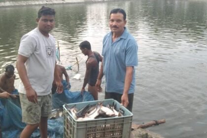 Fish Farming Success : 0.40 हेक्टेयर के तालाब में सालाना 250 क्विंटल मछली का उत्पादन, कमाई लाखों में