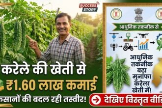 Bitter Gourd Farming : करेले की खेती से किसान ने कमाए 1.60 लाख, आधुनिक तकनीक से बदली तस्वीर