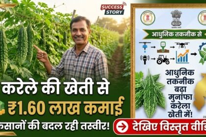 Bitter Gourd Farming : करेले की खेती से किसान ने कमाए 1.60 लाख, आधुनिक तकनीक से बदली तस्वीर