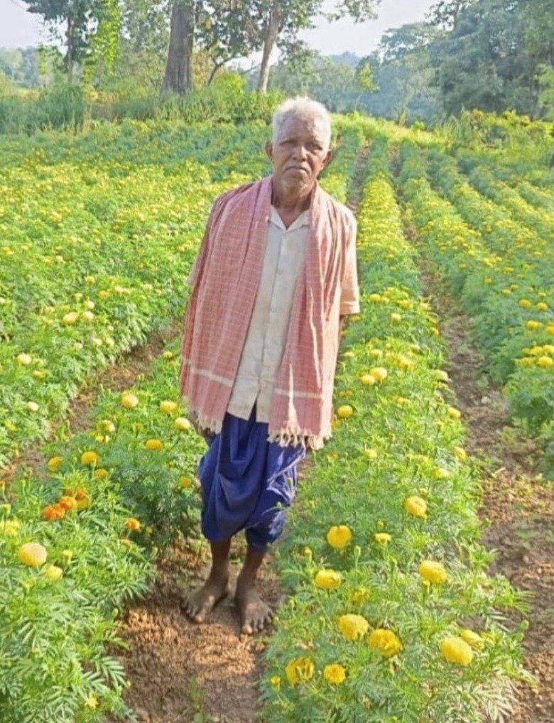 Dhan Se Genda Ki Kheti