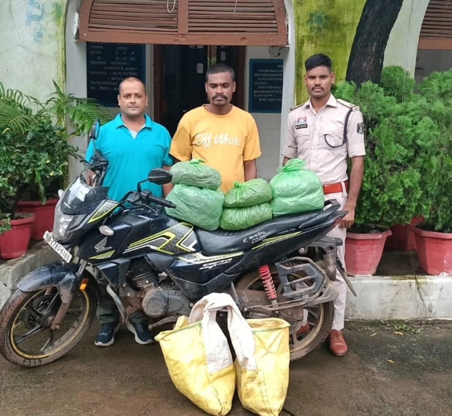 Ganja Seized