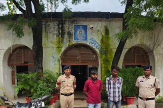 Simga Illegal Liquor Action