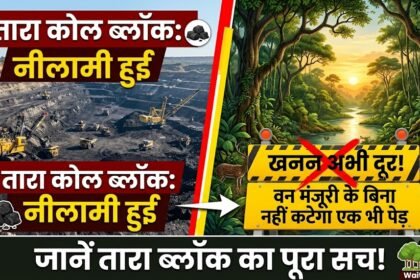 Tara Coal Block : नीलामी हुई, खनन अभी दूर! वन-पर्यावरण मंजूरी के बिना नहीं कटेगा एक भी पेड़, जानें तारा ब्लॉक का पूरा सच
