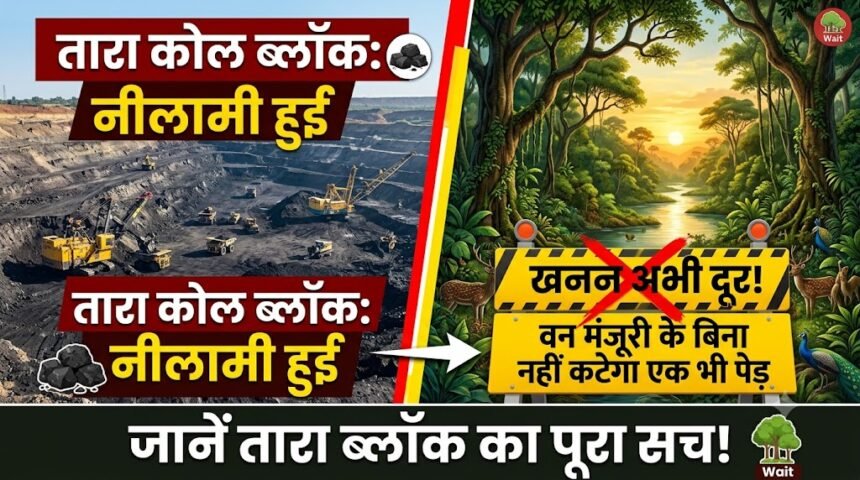 Tara Coal Block : नीलामी हुई, खनन अभी दूर! वन-पर्यावरण मंजूरी के बिना नहीं कटेगा एक भी पेड़, जानें तारा ब्लॉक का पूरा सच
