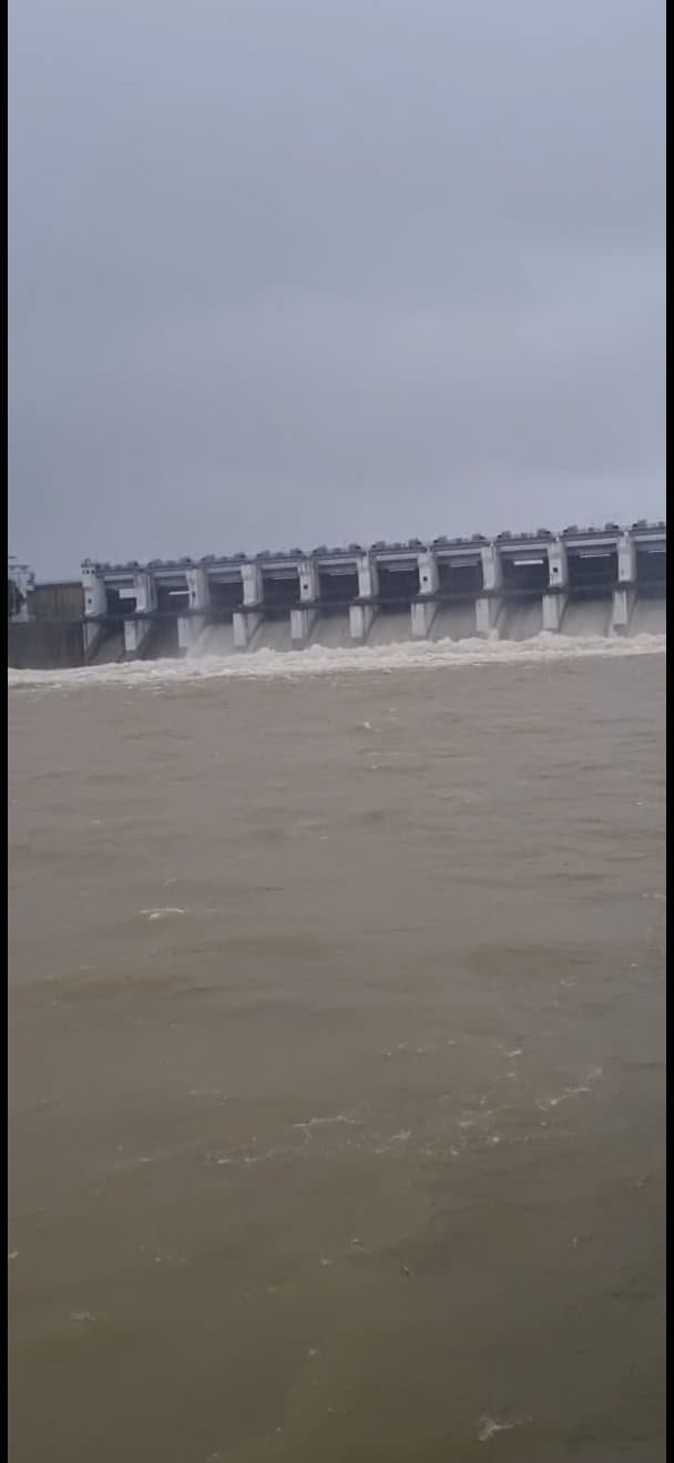 Mahanadi Water Level