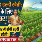 Haldi Ki Kheti Chhattisgarh : किसानों के लिए बड़ी खबर, 1300 हेक्टेयर में होगी हल्दी की खेती; 6.20 करोड़ का बजट