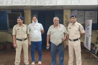 Durg Fake Number Plate : दूसरे वाहन का नंबर लगाकर चला रहे थे कार, असली मालिक को पहुंच रहे थे चालान-टोल के मैसेज