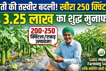 Mulching Farming Sakti