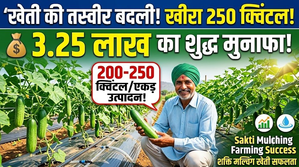 Mulching Farming Sakti