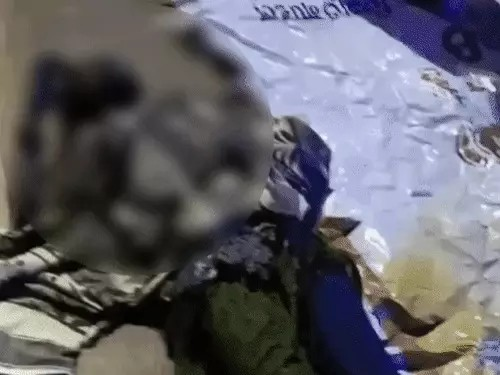 Raipur Woman Petrol Attack