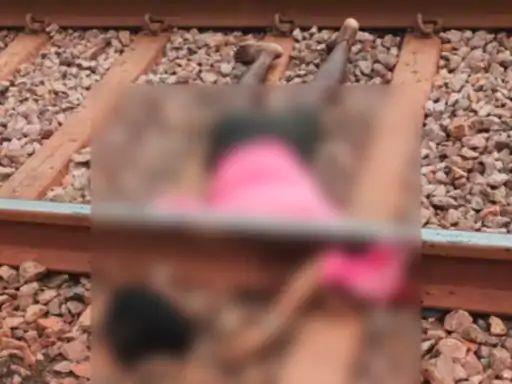 Shepherd Train Accident