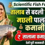 Scientific Fish Farming : तालाब से बदली किस्मत, मछली पालन से कामिनी की सालाना कमाई 2 लाख